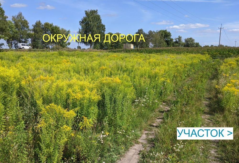 Продам участок 10сот возле окружной в Борисполе