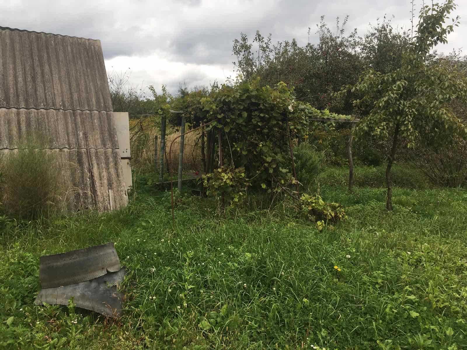 Продається дача Шкло Санаторій 5 соток