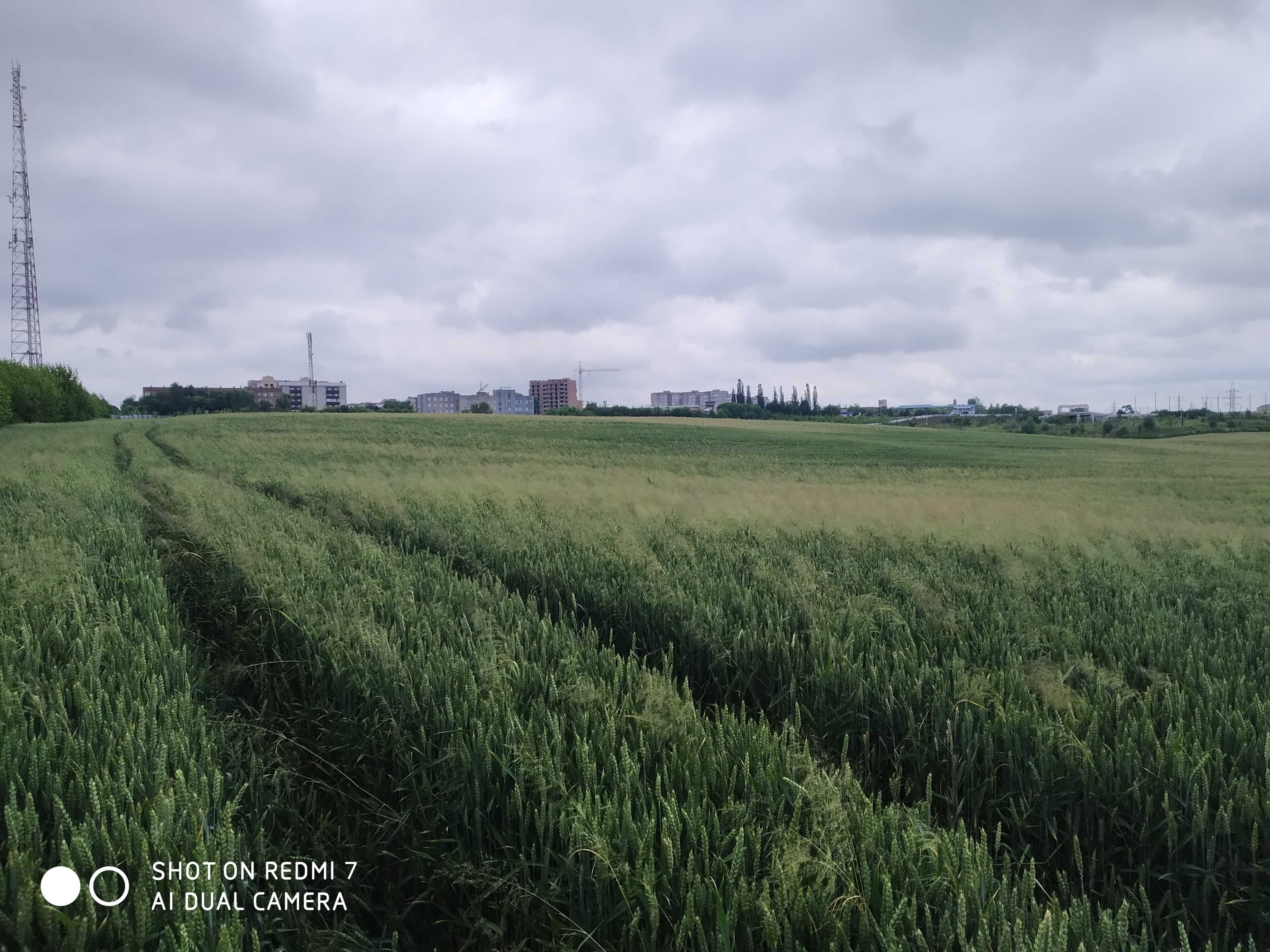 Продається два паї